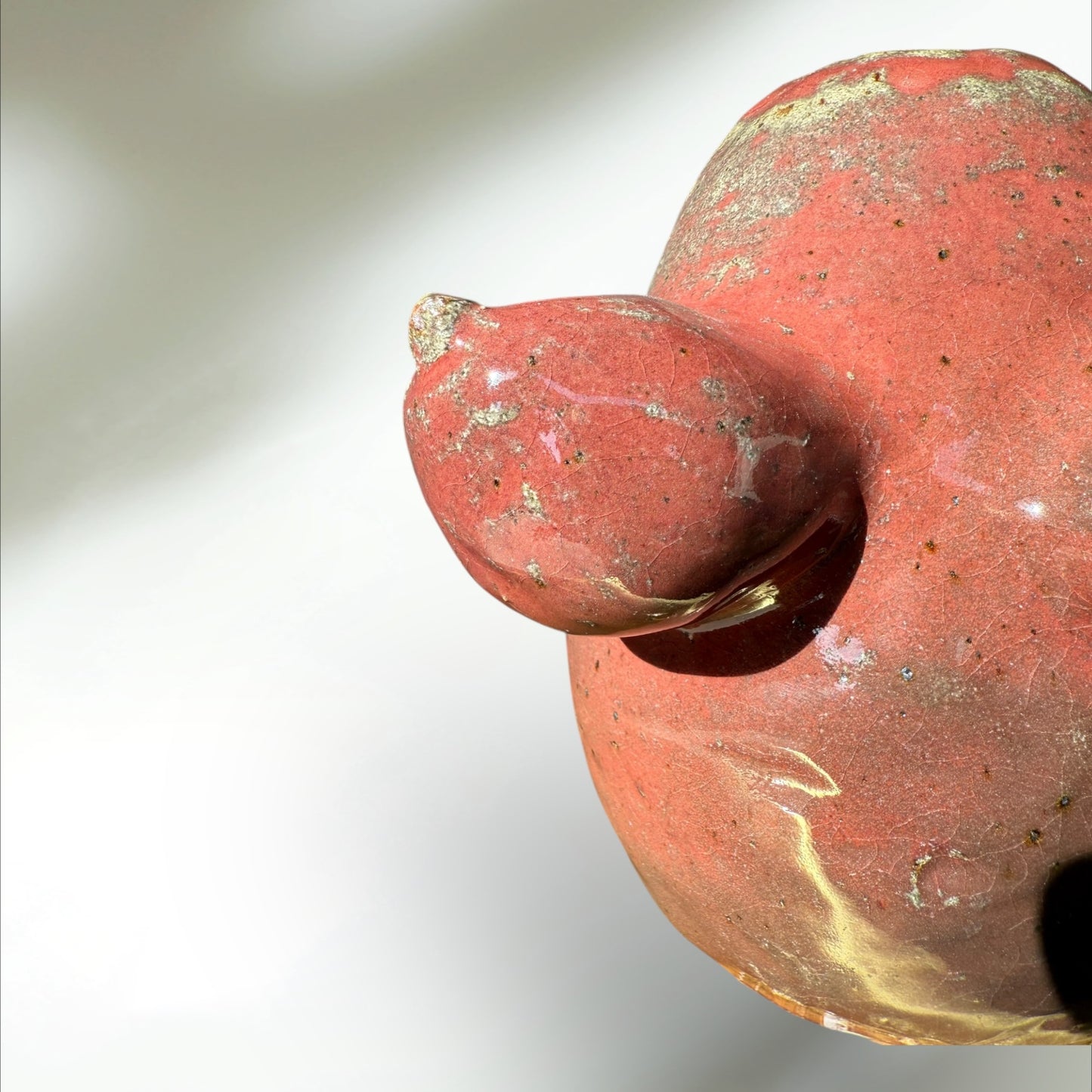 Venus Vessel