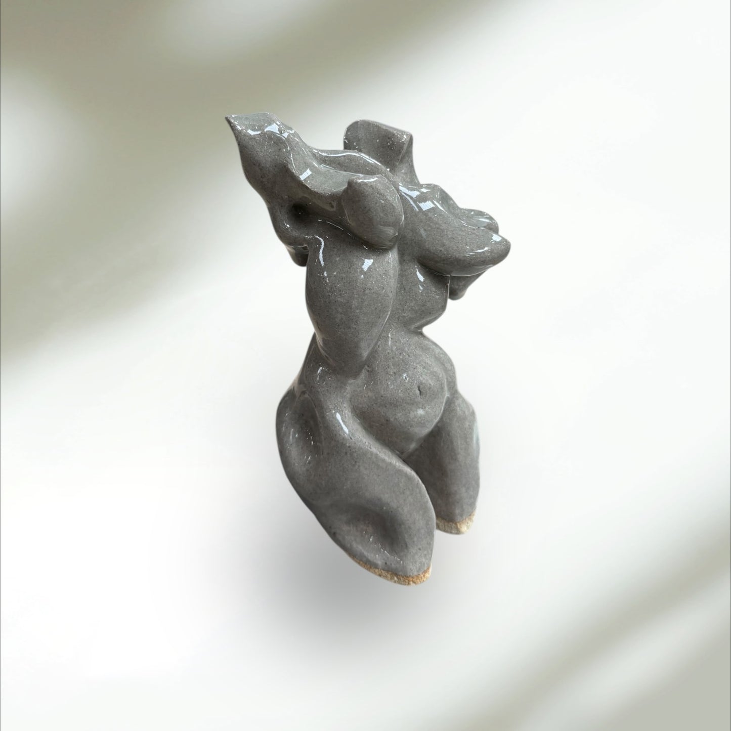 Venus in Motion