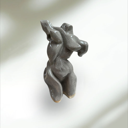 Venus in Motion
