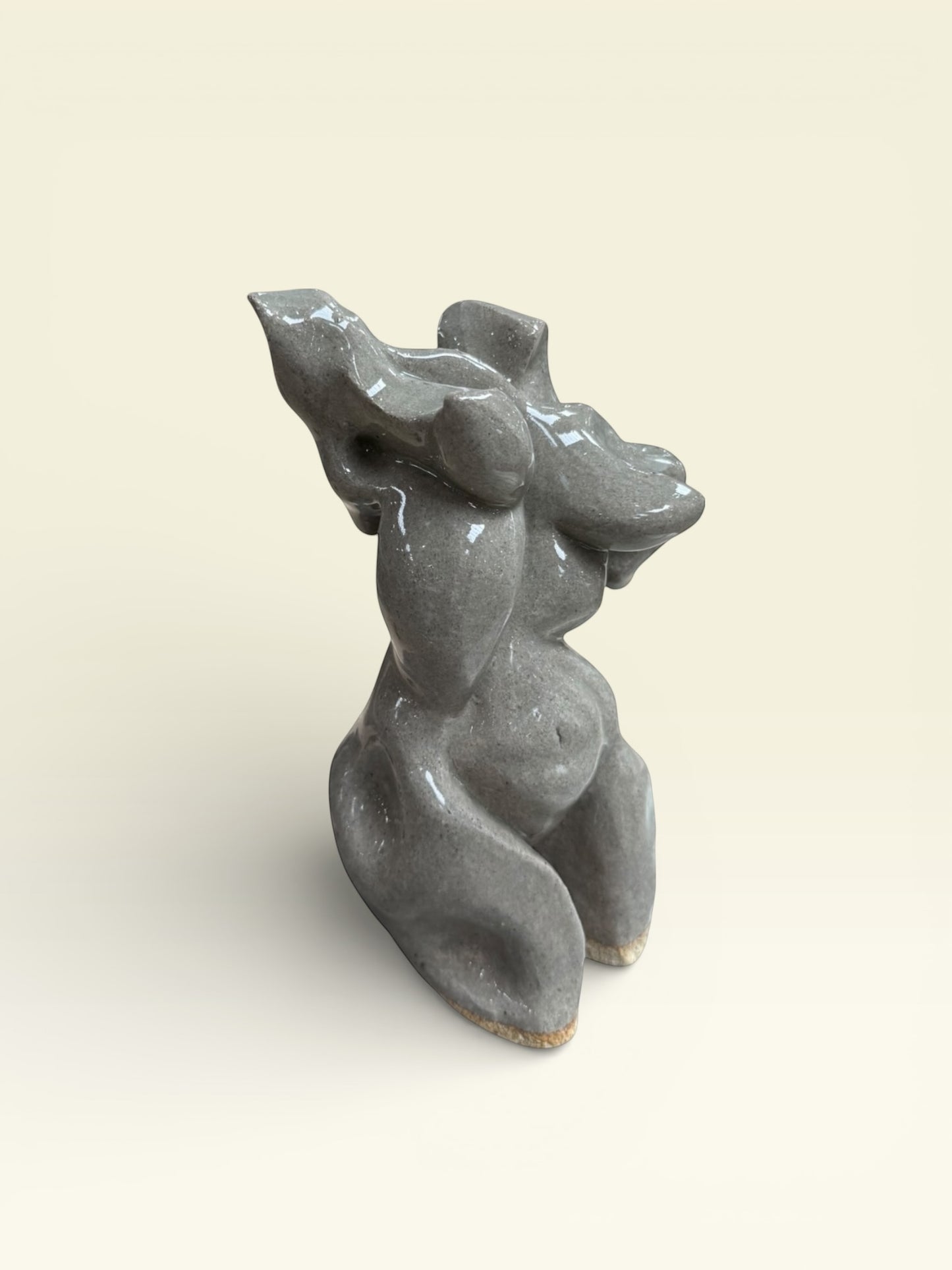 Venus in Motion